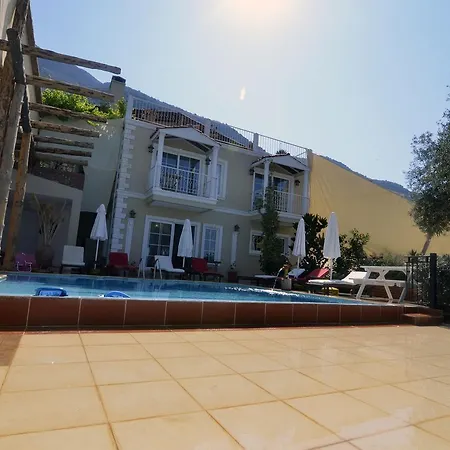 Tulip Villa *